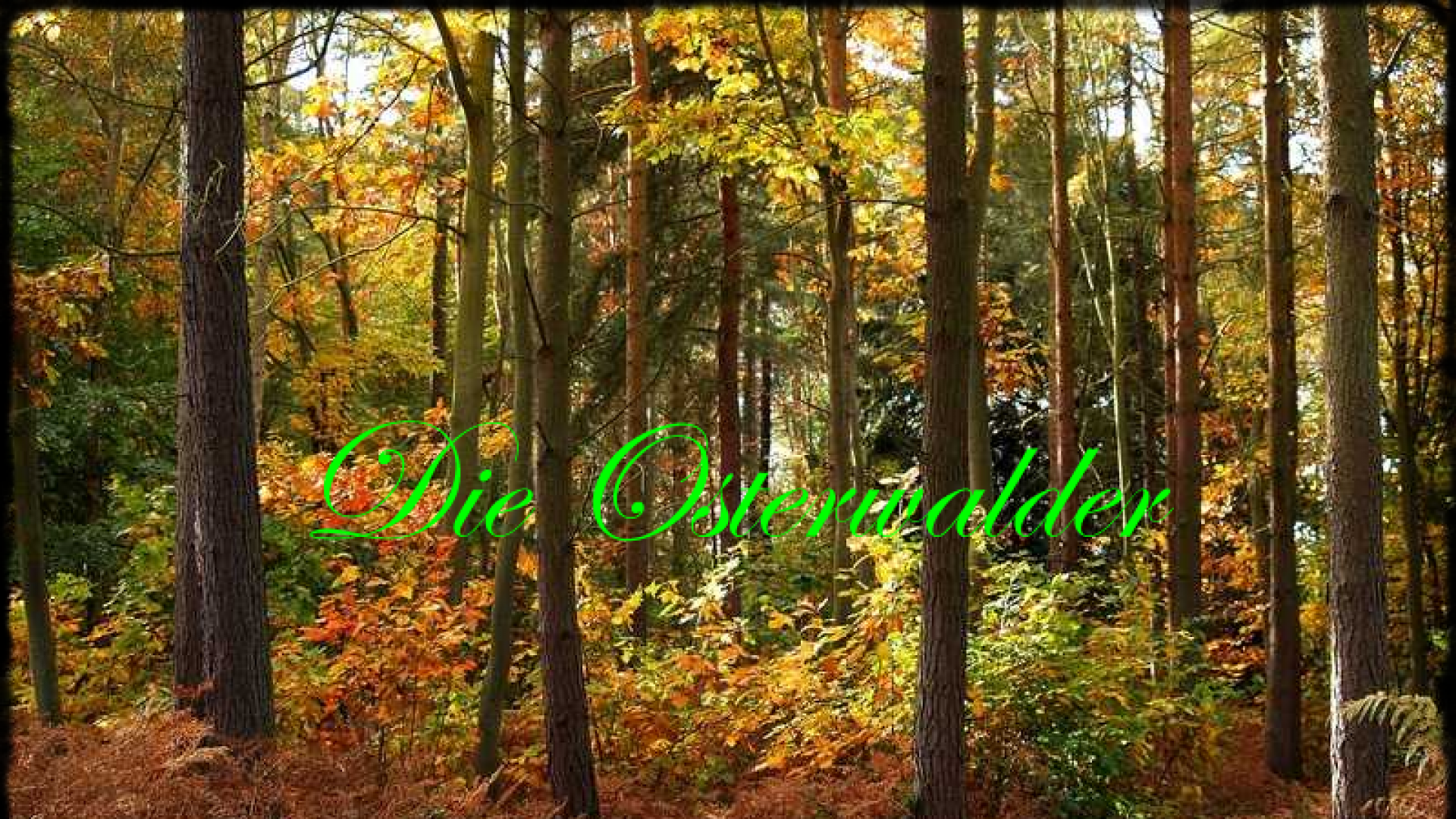 Die Osterwalder Was lieben die Bürger in Norden der Region Hannover